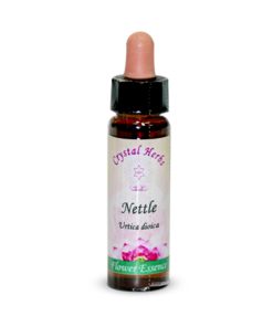 Nettle (Ortiga)