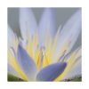 Lótus Azul (Loto azul) - Saint Germain - Imagen 2