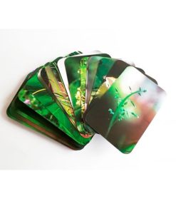 Cartas Saint Germain. Florais de Saint Germain - Imagen 3