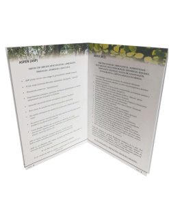 Fichas Flores de Bach, Resumen, Ricardo Orozco - Imagen 2