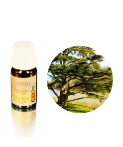 Cedro 10 ml