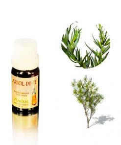 Árbol de té 10 ml.
