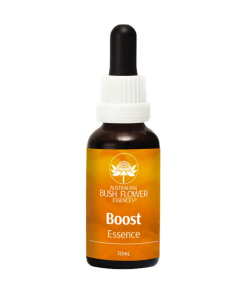 BOOST ESSENCE / APOYO - Flores de Bush