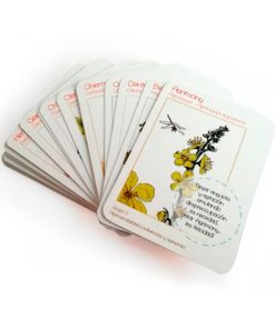 Cartas Bach para niños / Sofía Roca - Imagen 3