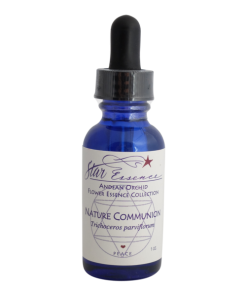 Nature Communion Star Essence