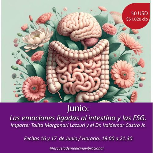 LAS EMOCIONES LIGADAS AL INTESTINO Y LAS FSG - ONLINE