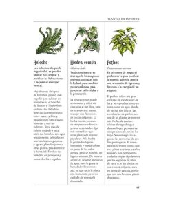 El Jardín de la Bruja Verde - Anin Murhpy - Imagen 3
