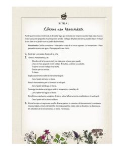El Jardín de la Bruja Verde - Anin Murhpy - Imagen 5