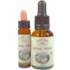 Yarrow Mixed (Milenrama Mixta)